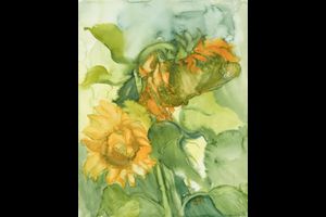 Ausstellung Kunstsammlung Aquarelle